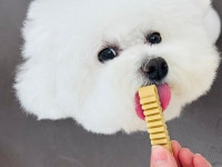 멈머야