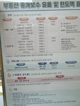 티오피부동산중개법인