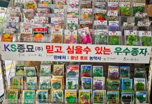 풍년종묘농약사