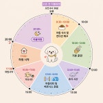 가치있개 반려견 유치원 & 미용실