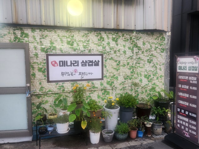 무궁화꽃이피었습니다