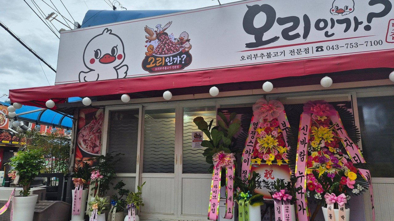 오리인가