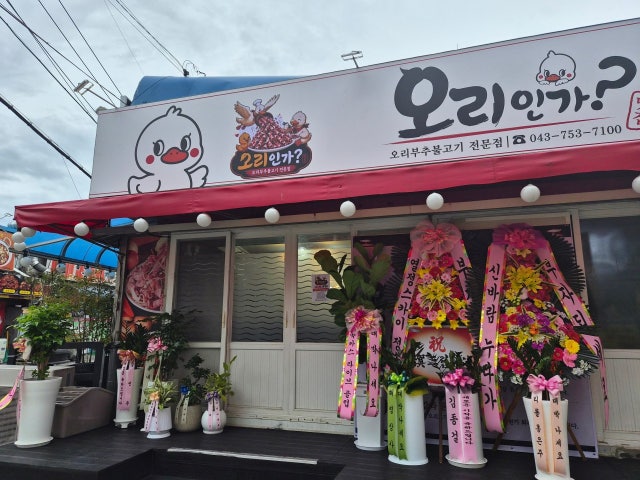 오리인가