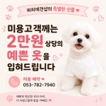퍼피애견샵