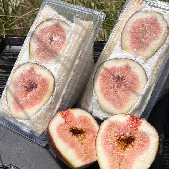 카페 몰릭 사진