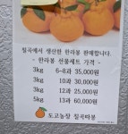 도고농장도고태양광발전소