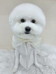 요요랜드