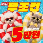 수원강아지분양고양이분양미유펫 수원점