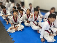 용인대호수태권도장