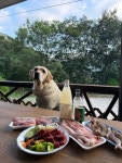 지리산 시크릿가든