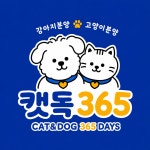 캣독365 경기광주점 강아지분양 고양이분양
