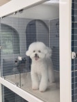 뽐내시개