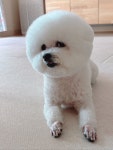 뽐내시개