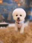 유니스펫살롱