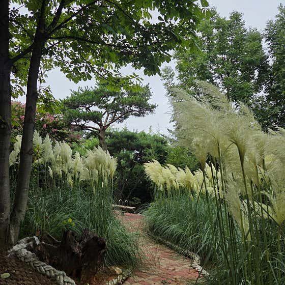 사계 태안점 사진