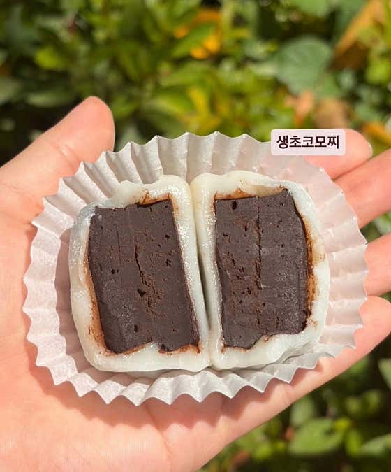 당몽당 사진