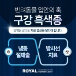 로얄동물메디컬센터 본원