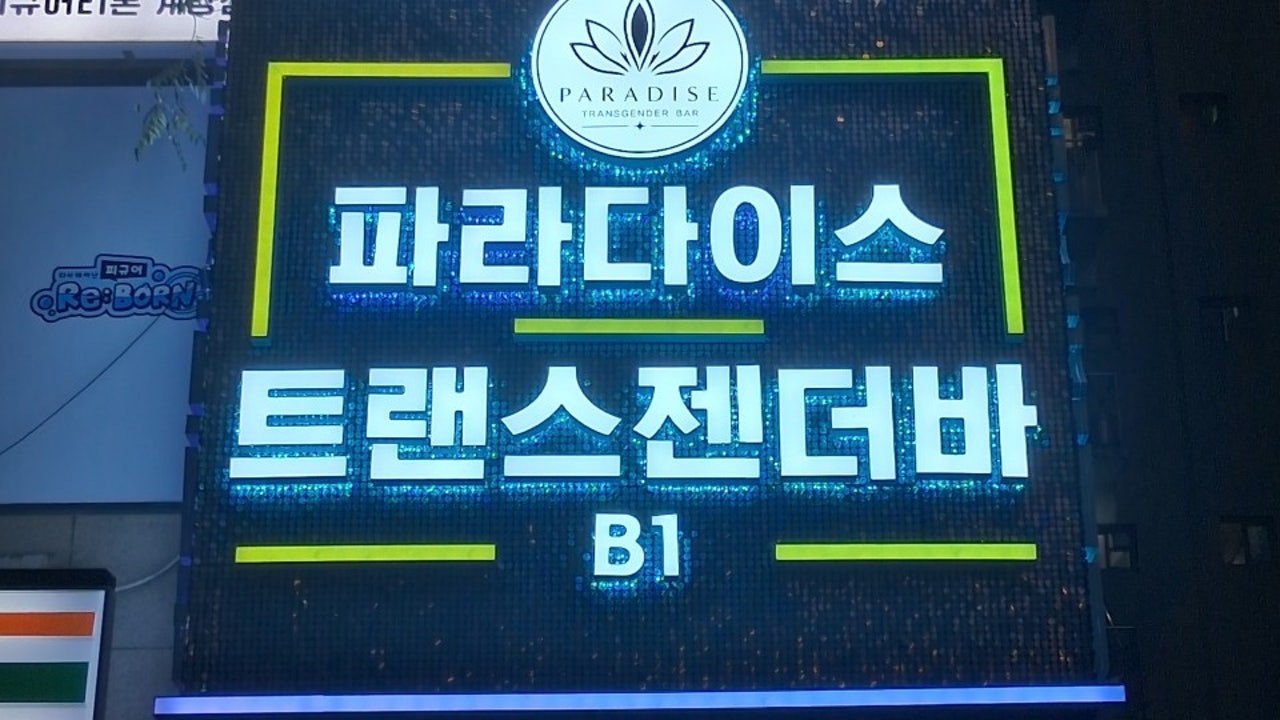 파라다이스 트랜스젠더바