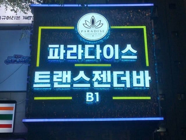 파라다이스 트랜스젠더바