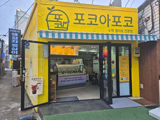 포코아포코 사진