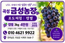 금성농장