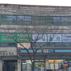 평택통독교회
