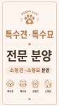 퍼피럽 강아지분양 고양이분양 군산본점
