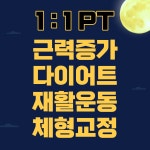 사람휘트니스 올레시장8호점