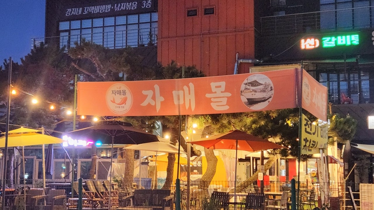 자매몰