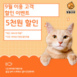 고양이미용실 방울선생