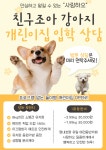 사랑하오 달콤하개&애견유치원 카페