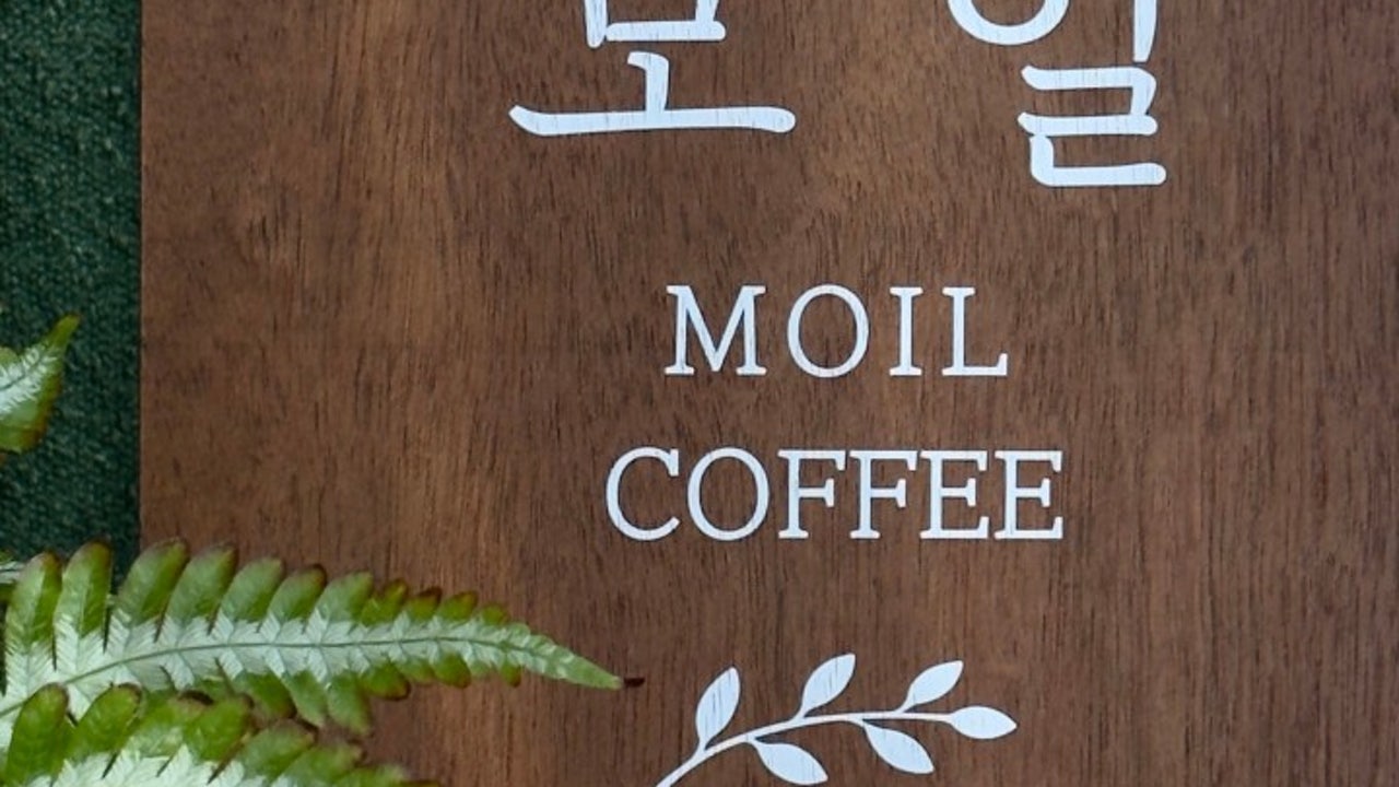 모일