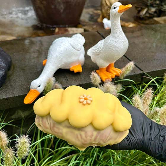 류재은베이커리 본점 사진