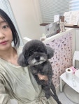 꼬망망 애견미용실