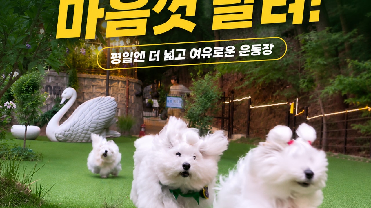 컨츄리독힐링파크
