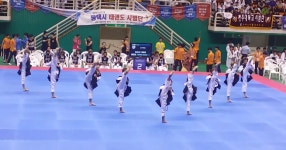 나토얀태권도