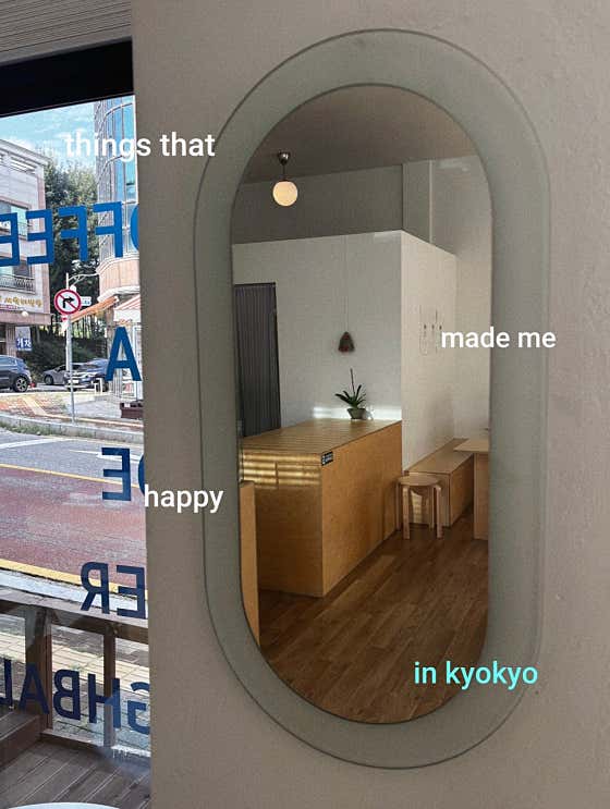 쿄쿄 사진