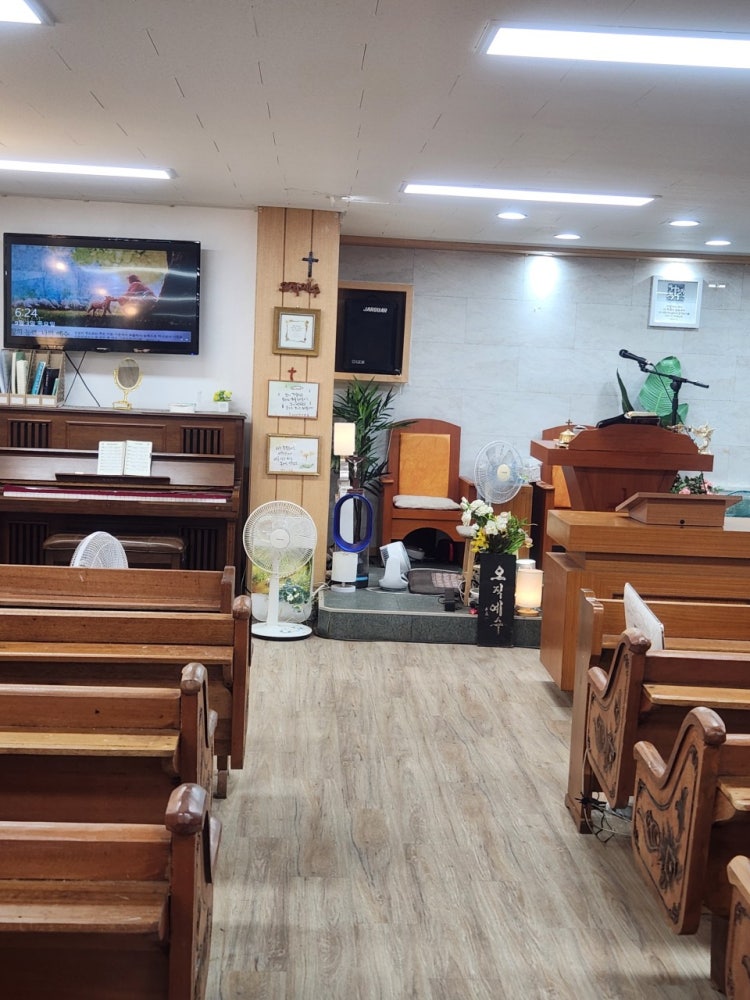 선한목자침례교회 사진 2