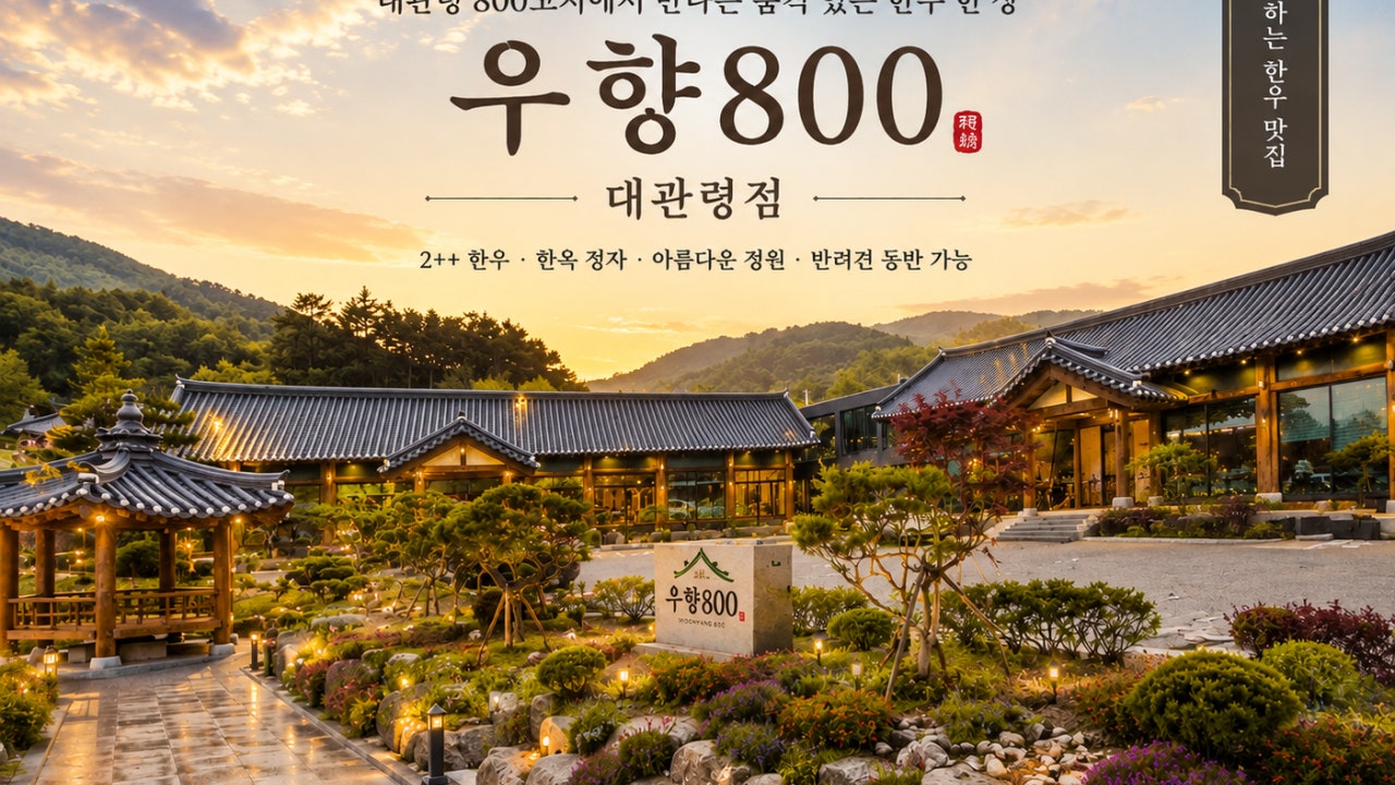 우향800
