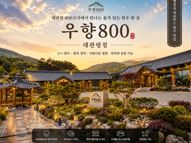 우향800