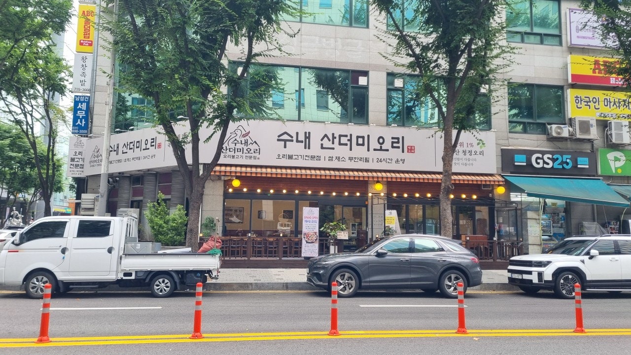 수내 산더미오리