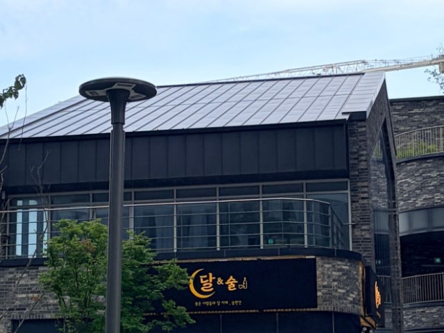 달&술