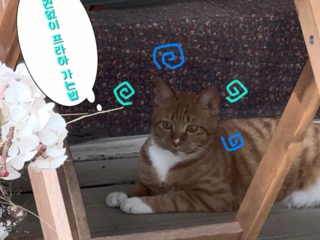 카바르나 프라하