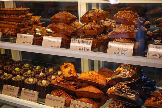 쎄라비 사진