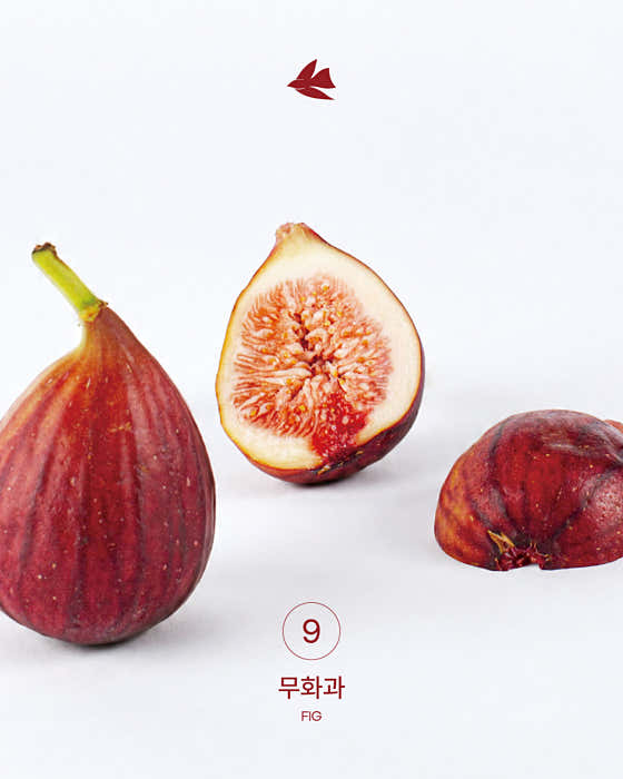 까치화방 판교점 사진