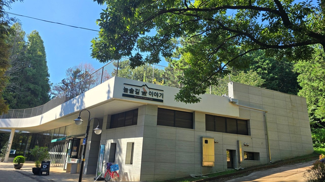 늘솔길숲카페