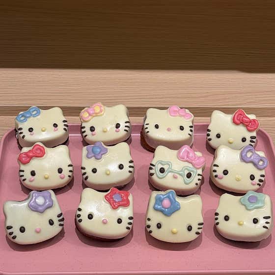 제제딜라잇 사진