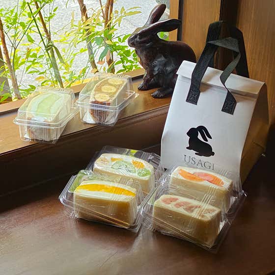 우사기 사진
