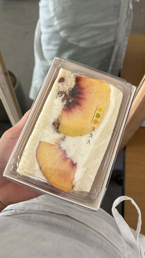 치치치 사진