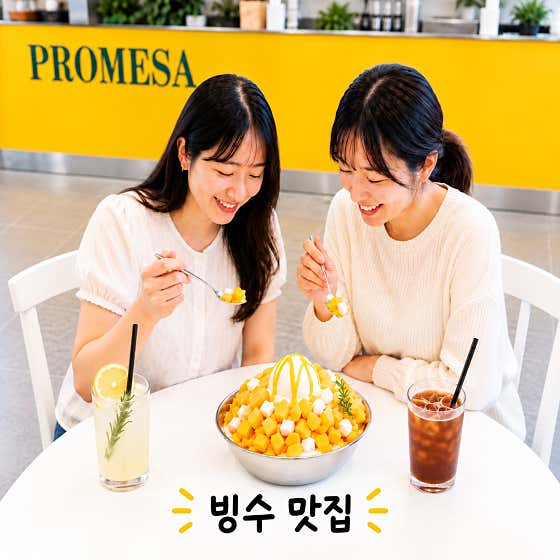 프로메사 사진